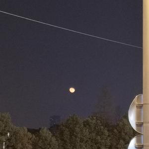 91精品婷婷国产综合久久韩漫
