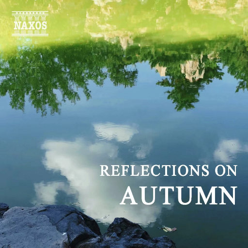 91精品婷婷国产综合久久韩漫
