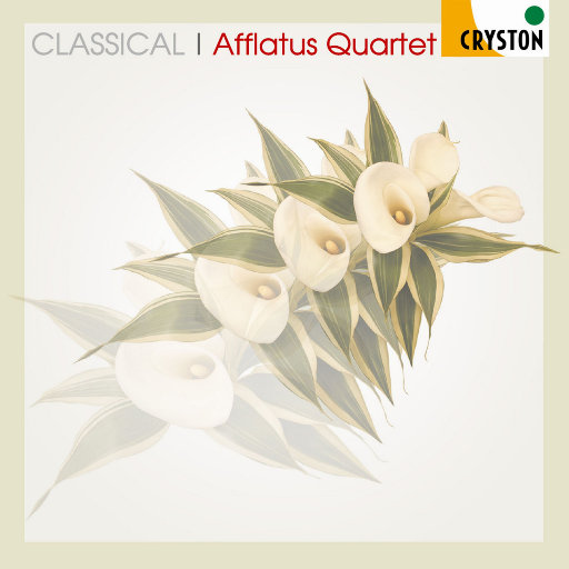 91精品婷婷国产综合久久韩漫
